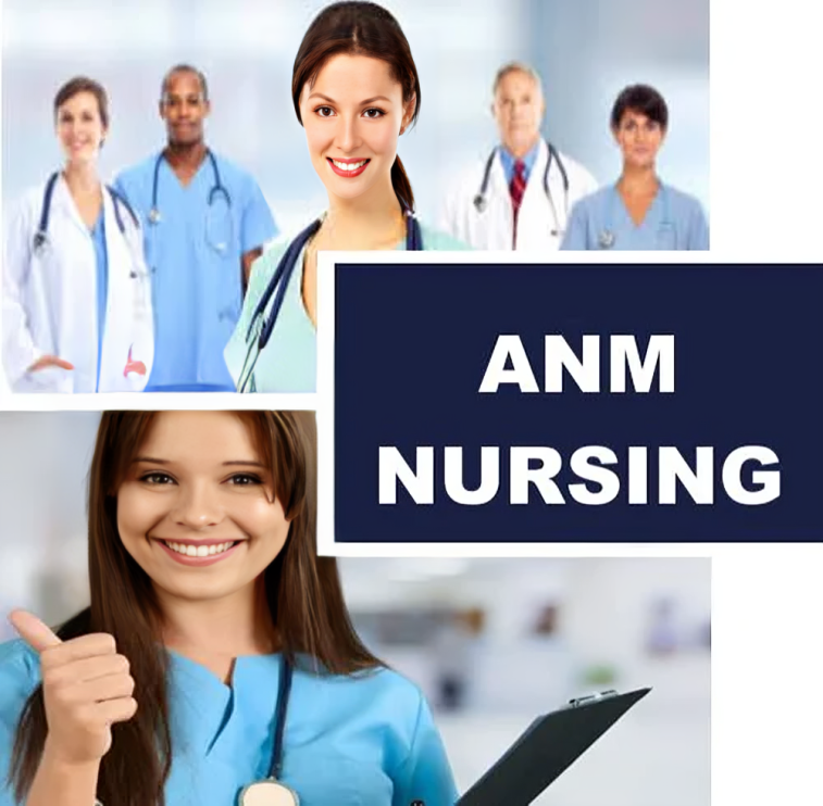 B.Sc. Nursing Program
