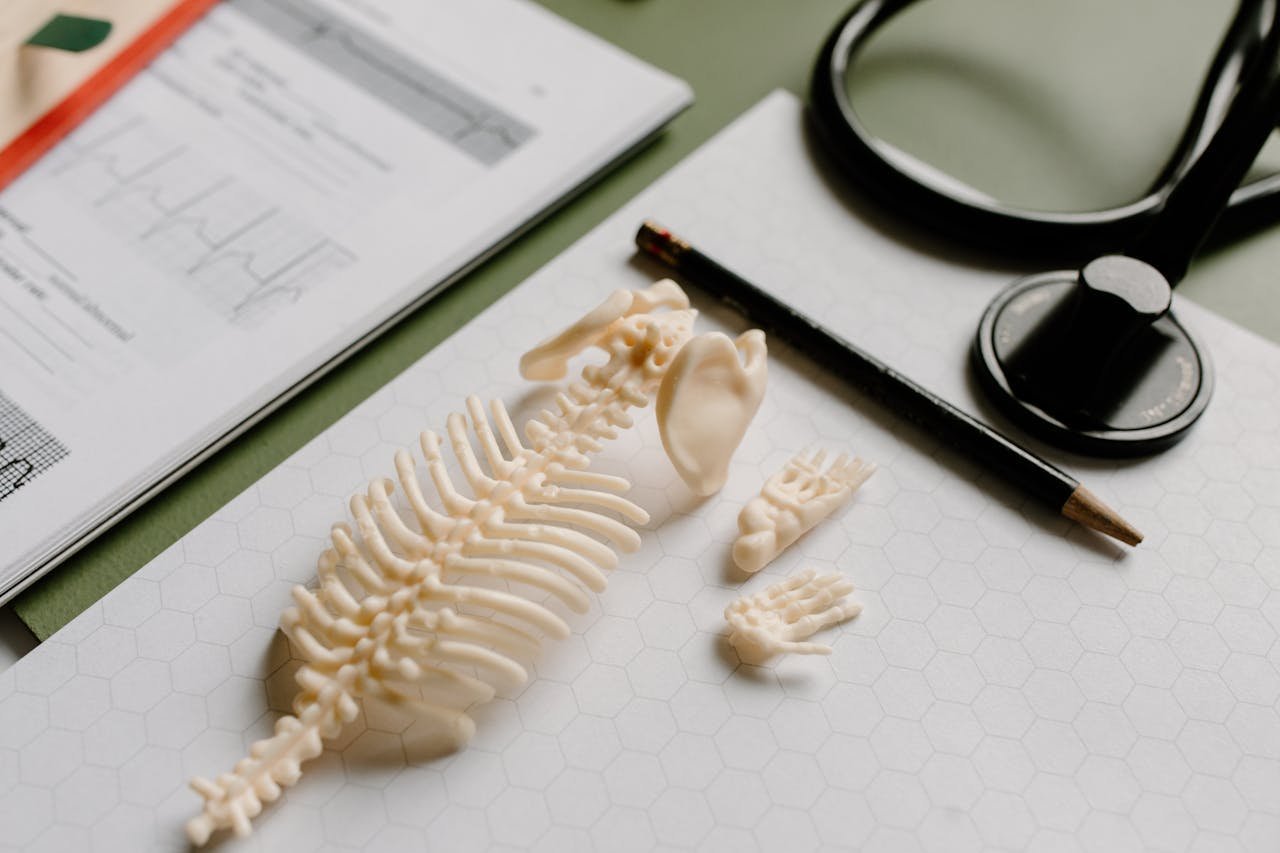 Anatomy & Physiology Lab